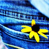 Sun in my pocket