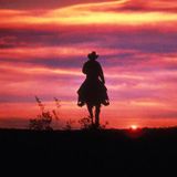 THE SHELTER #30 - WESTERN