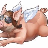 FLYING PIGS