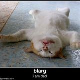 Sixalot #013 : Dec 2, 2013 - Sleep