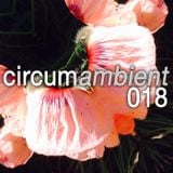 circumambient 018