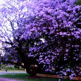 Mix especial de marzo