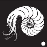 Maât's Monthly Mixtape #1 - In a Different Style
