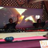 PROTOCELL Spring Mix 2016