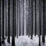 Winter Mix (live rec.)