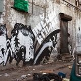 edgaras - bronx