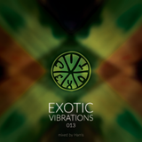 Exotic Vibrations 013 (May 2015)