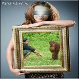P a r i a (Audiolotion Mix Series)