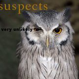 Very unlikely mix | crack / fidget house