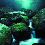 Chillaxin' Yoga Grooves (down tempo, electronic, ambient)