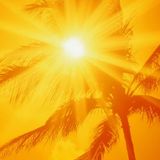 Summer Heat
