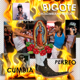 Bigote - Cholombiano Mixtape / Cumbia y Perreo