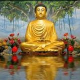 Buddha bar London January 2016