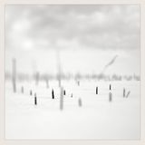 Taylor Deupree + Marcus Fischer – In A Place Of Such Graceful Shapes