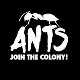 THE MEKANISM - ANTS COLONY RADIO @ USHUAIA BEACH HOTEL - 5 JULY 2014