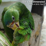 4th Dimension Best of 2015: Part 1