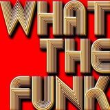 "What The Funk" Live at Bassline 01:15:2016