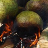 Breadfruit Sessions Vol. 2 by Corey Dawkins