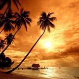 Deep mood - gods house (Disk nation paradise remix)
