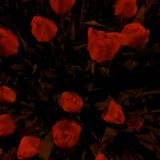 Ambient Reflections - Part II