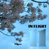 Señor Nuevo presents In Flight 11