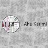 LQE015: Ahu Karimi