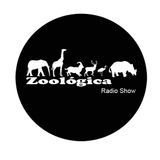 Valentin Huedo - Zoologic Radioshow - 26 Jan 2011