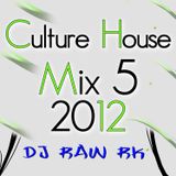 DJ RAW RK_Culture House Mix 5 2012