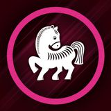 PINK PONY JAN. Moin