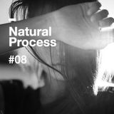 Natural Process #08