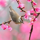DJSandraMarques_allesneumitteapril12