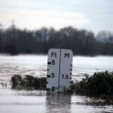 climate change film series