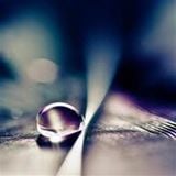 Timeless Dreams