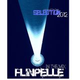 Flinpelle DJMix 2012 Selection of MinimalTechno