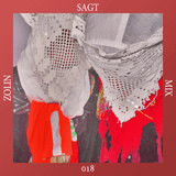 Zolin Sagt 018: RSS B0YS - 15.07.2014