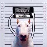 Borja V. - @fter The Jager 2
