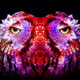 Psychedelic-Bluesrock-Mixtape