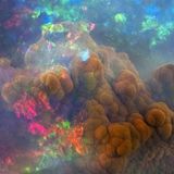 Out Of Body: Body Actualized Center Memorial Mix - Brian Sweeny