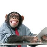 FERGUS - Skinny Chimp Podcast