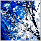 Wabi - Venustas Aeternus
