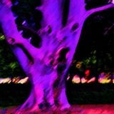 The Legend of the Demon Tree