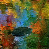 Music for Musicians October 22nd 2014 brynley thomas