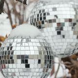 A Groovy Winter!