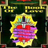 Amnesia House 1992 The PRODIGY Live @ Book Of Love - Brayfield Stadium