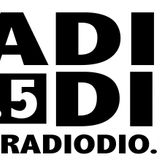 Le Groupe MODIEZE dans Peace In Vib's 12-01-2016