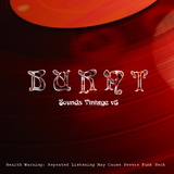 Sounds Vintage v5 - Burnt