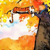 Autumn Adventure