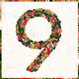 9 YEARS PLAY'HOUSE Promomix by Chicago Habit