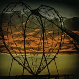 Art Department, BLUD, Shaun Reeves feat Damian Lazarus-Robot heart (Martin Bordoli & Miliano remix)