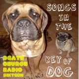 DCRadio w/ Ropstyle - Episode 16 - Songs in the Key of DOG
